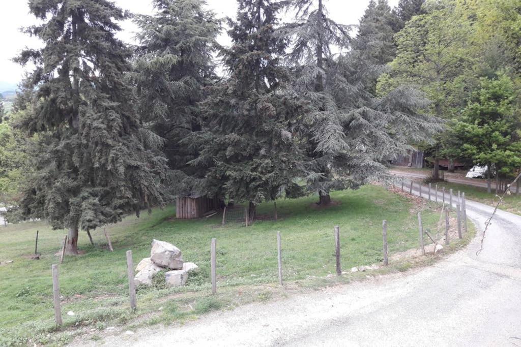 Gite Le Pilat Vernoux-en-Vivarais Exteriör bild