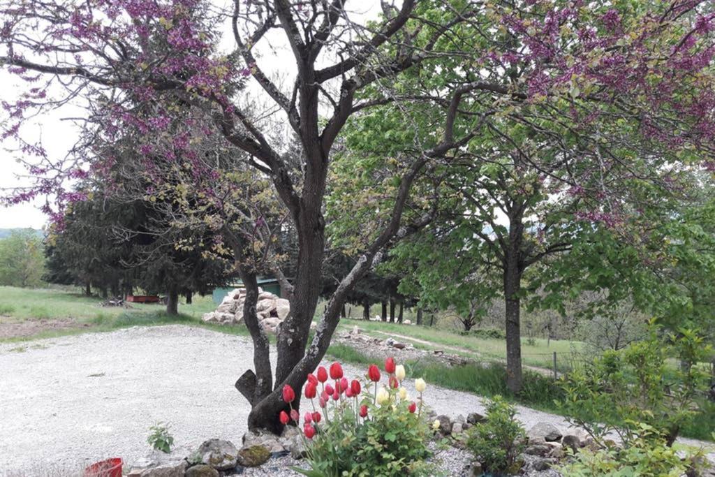 Gite Le Pilat Vernoux-en-Vivarais Exteriör bild